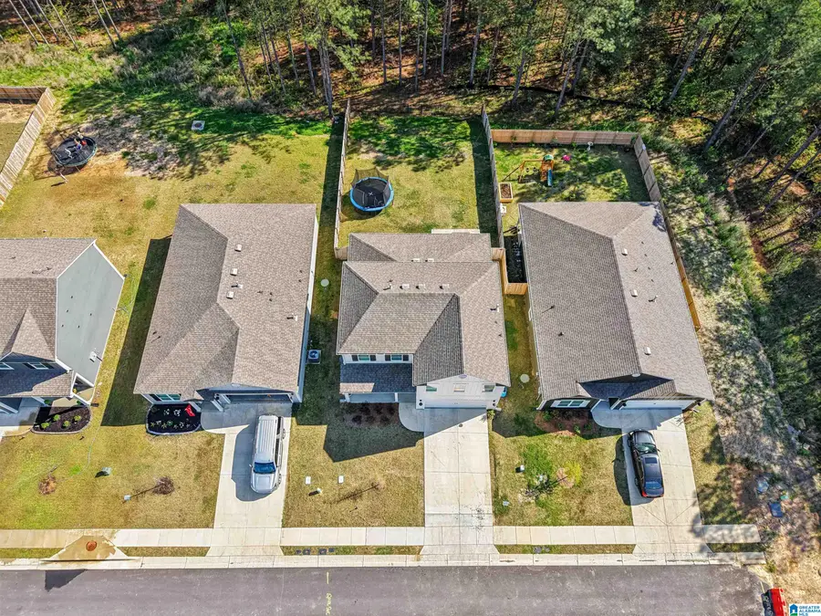 10005 CHELSEA PARK TRAIL, Chelsea, AL 35043 - #3