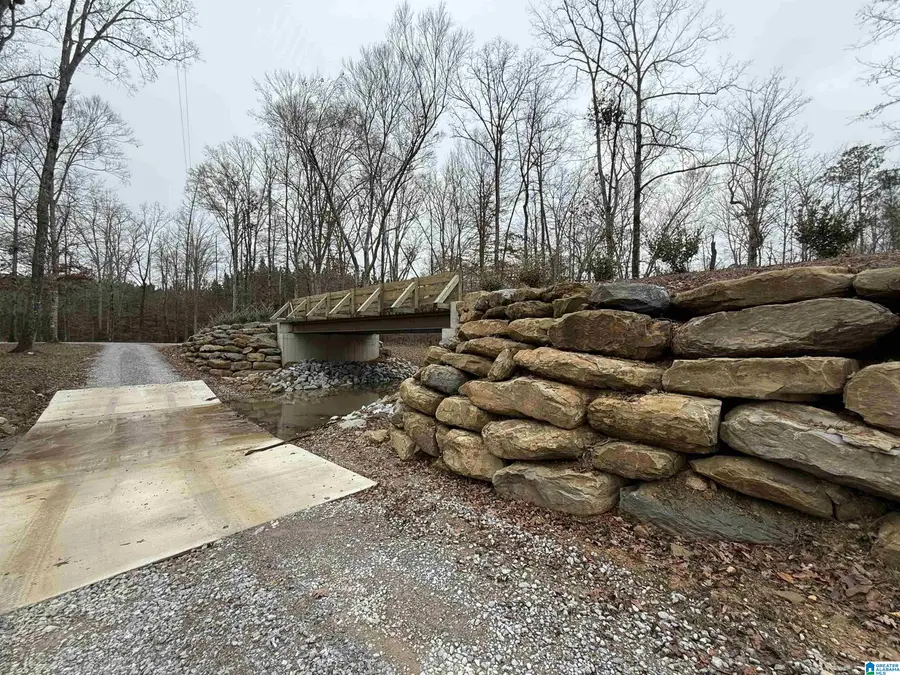 4637 CHELSEA ROAD, Chelsea, AL 35043 - #2