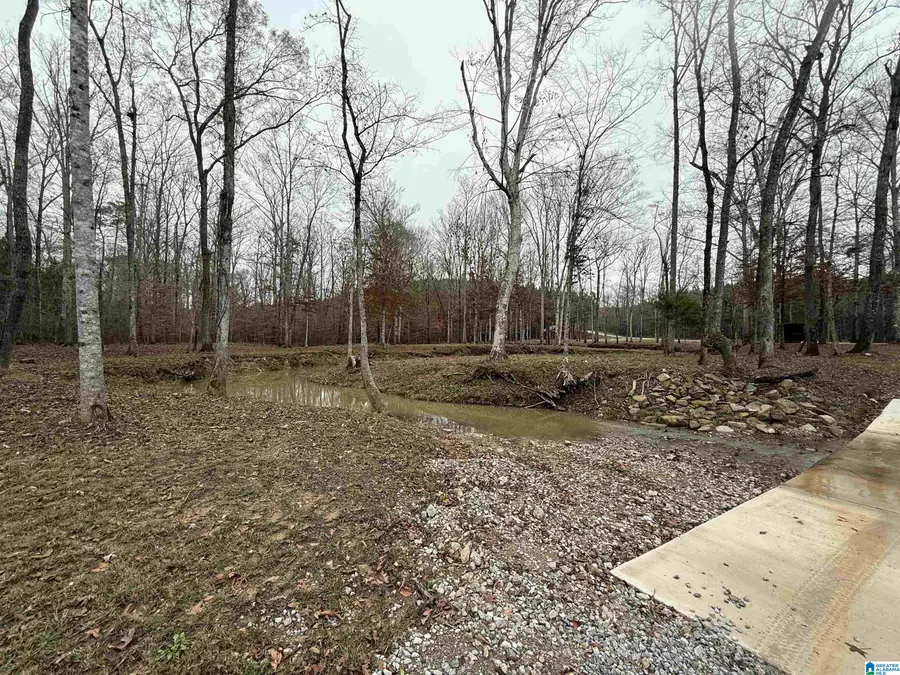 4637 CHELSEA ROAD, Chelsea, AL 35043 - #3