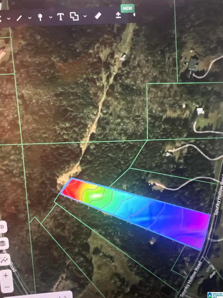 3708 SPUNKY HOLLOW ROAD, Remlap, AL 35133 - #2