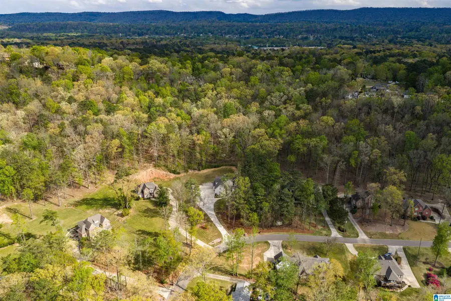 720 DOGWOOD CIRCLE, Birmingham, AL 35244 - #3