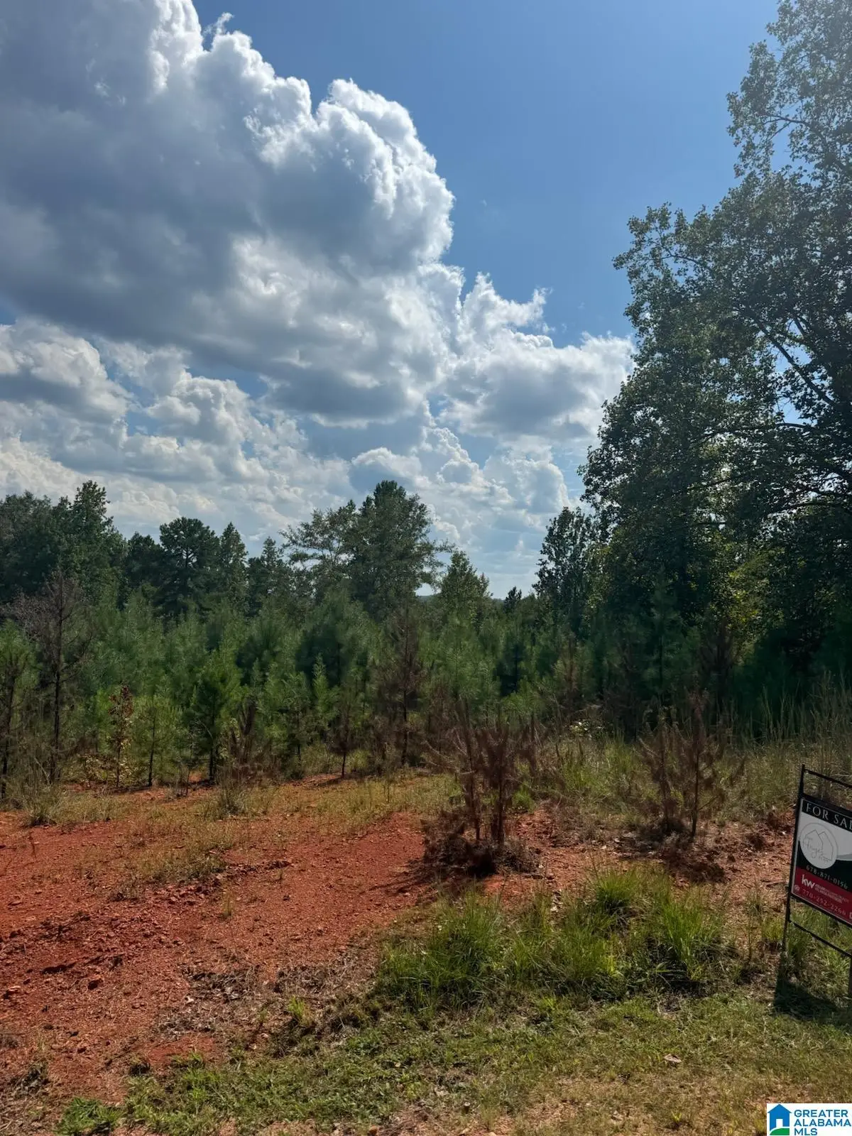 Lot 43 COURTNEY LANE, Wedowee, AL 36278 - #1