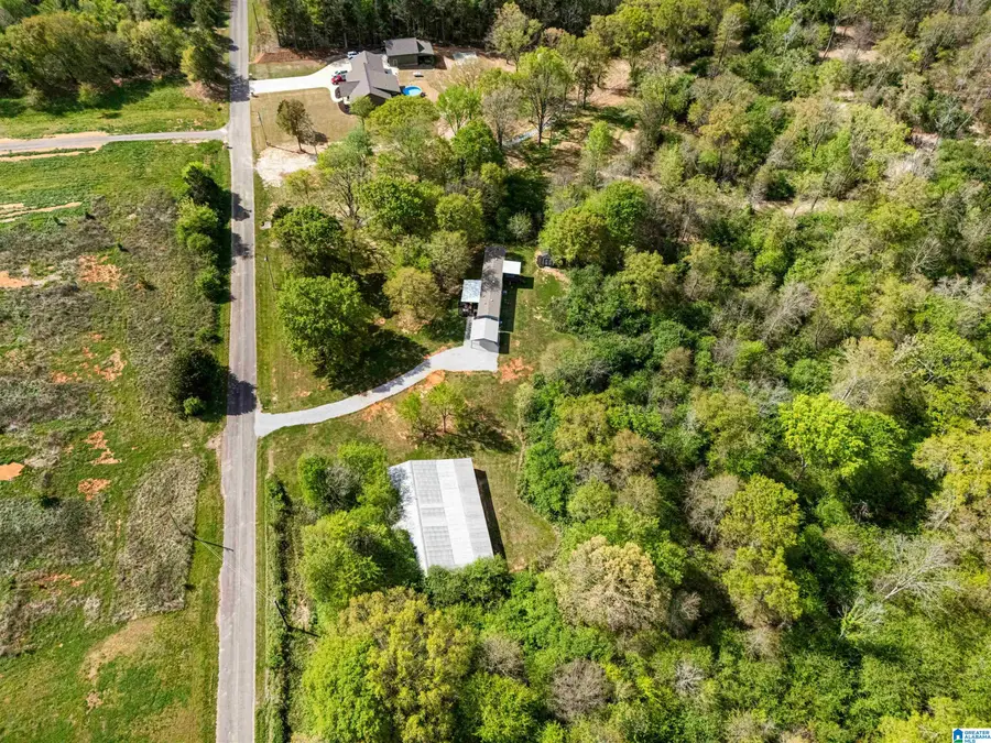 745 COUNTY ROAD 179, Piedmont, AL 36272 - #3