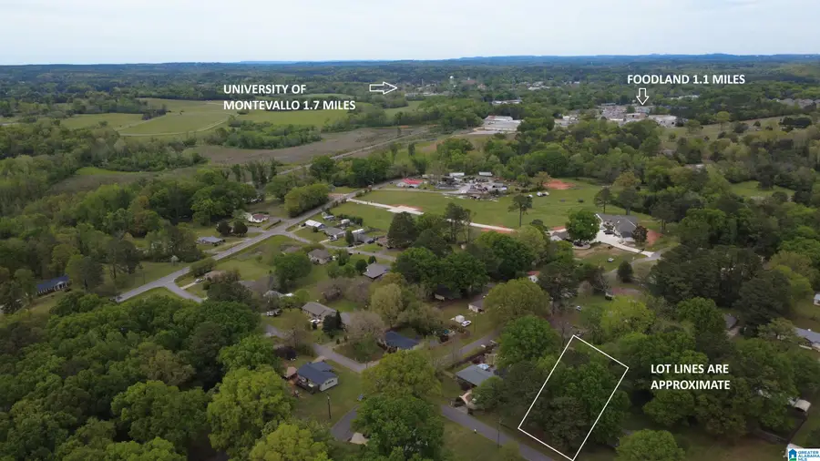 0 STROTHER STREET, Montevallo, AL 35115 - #3