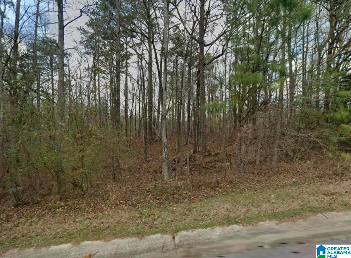 389 SHELBY SPRINGS FARMS, Calera, AL 35040 - #1