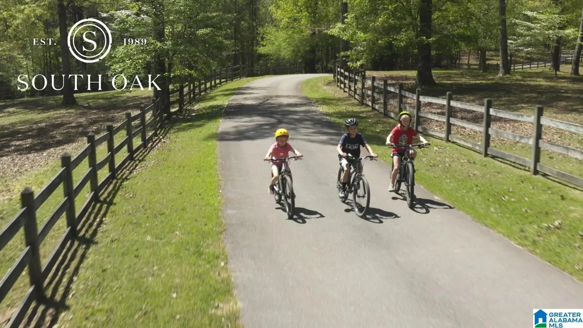 301 WINCHESTER PASS, Birmingham, AL 35242 - #1