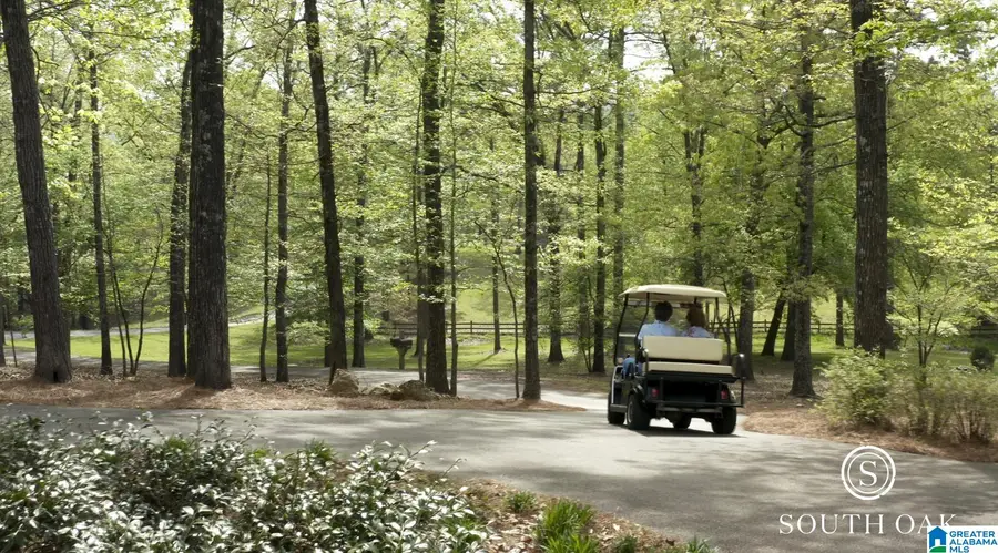 325 WINCHESTER PASS, Birmingham, AL 35242 - #2