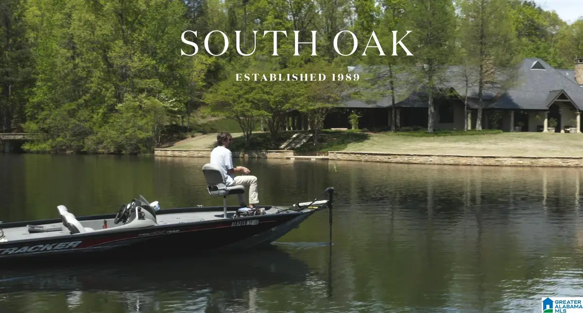 316 WINCHESTER PASS, Birmingham, AL 35242 - #1