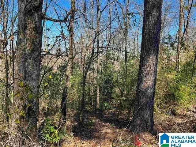 3996 SOUTH SHADES CREST ROAD, Hoover, AL 35244 - #3