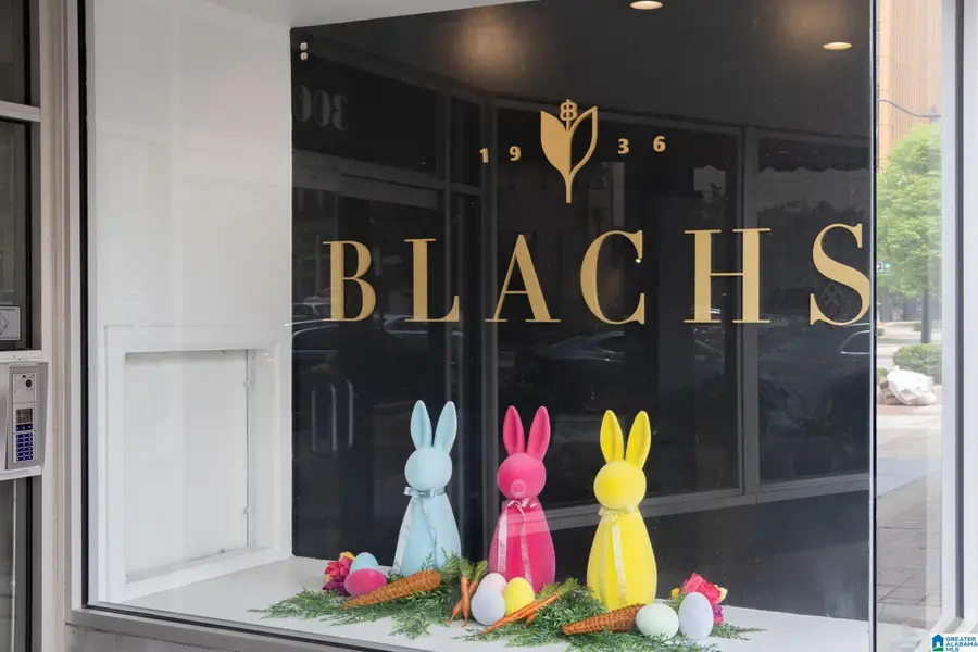 300 20TH STREET N, Birmingham, AL 35203 - #2