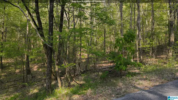 0 COUNTRY ROAD, Warrior, AL 35180