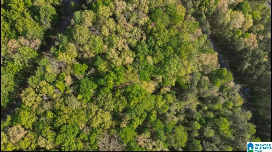 0 COUNTRY ROAD, Warrior, AL 35180 - #3