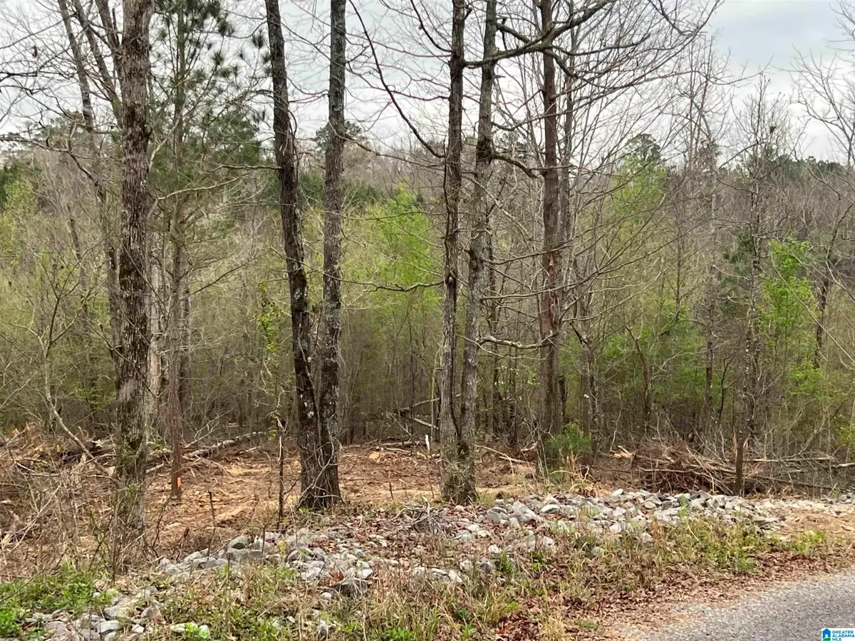 W LAKESHORE DRIVE, Oneonta, AL 35121 - #1