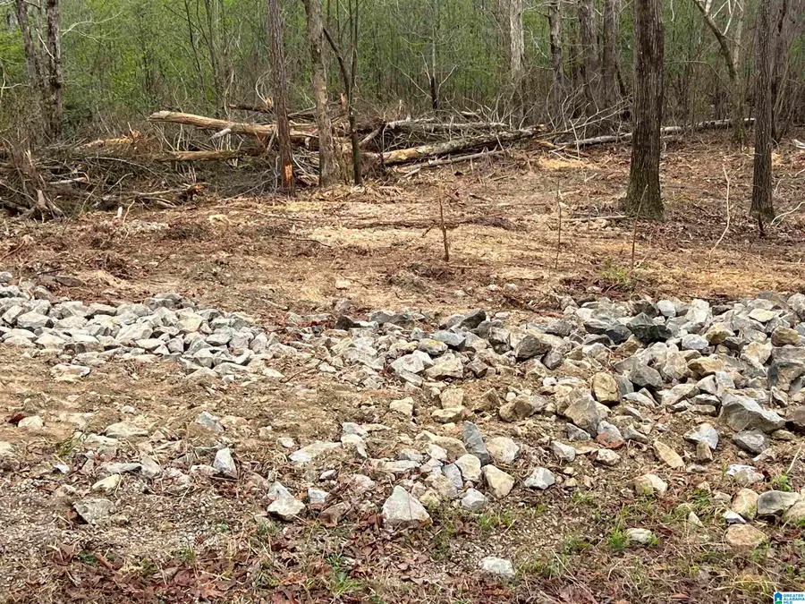 W LAKESHORE DRIVE, Oneonta, AL 35121 - #2