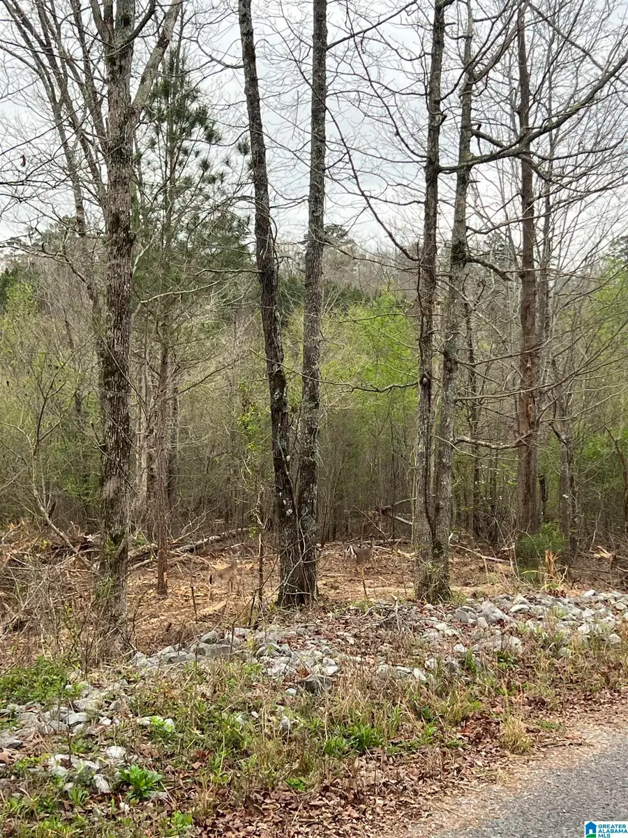 W LAKESHORE DRIVE, Oneonta, AL 35121 - #3