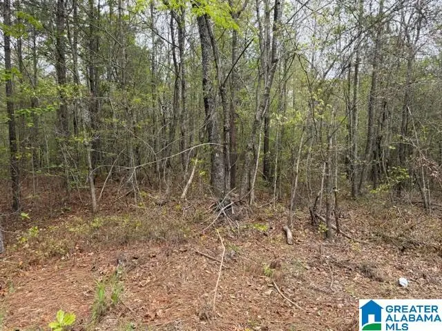 0 COUNTY ROAD 806, Wedowee, AL 36278 - #2