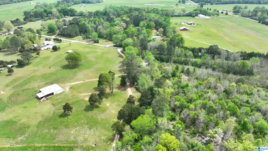 181 SHORES DRIVE, Columbiana, AL 35051 - #2