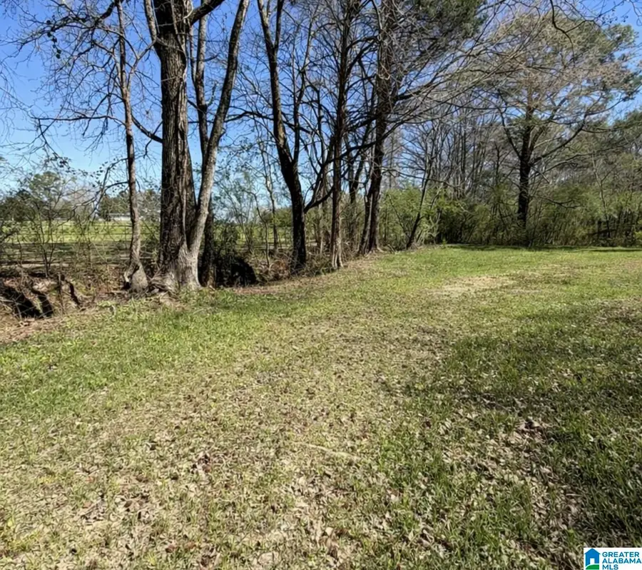 181 SHORES DRIVE, Columbiana, AL 35051 - #3