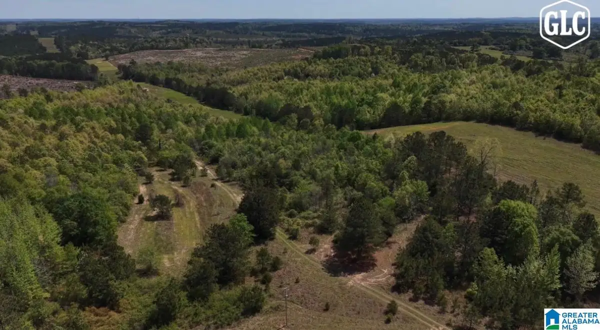 1600 COUNTY ROAD 125, Plantersville, AL 36758 - #1