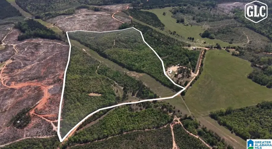 1600 COUNTY ROAD 125, Plantersville, AL 36758 - #2