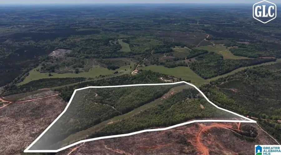 1600 COUNTY ROAD 125, Plantersville, AL 36758 - #3