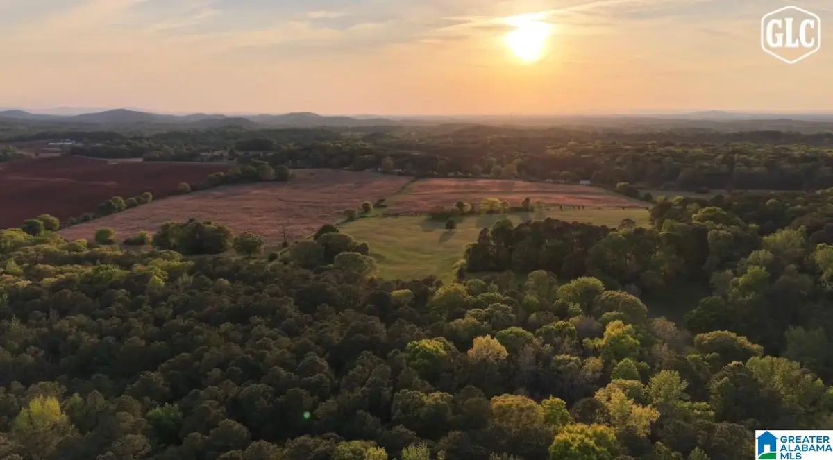3279 WHITING ROAD, Talladega, AL 35160 - #1