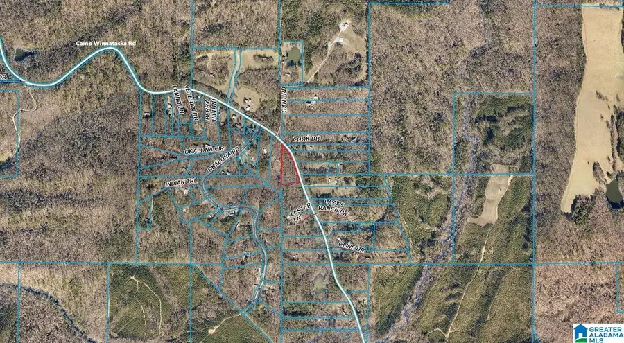 0 CAMP WINNATASKA ROAD, Pell City, AL 35128 - #2