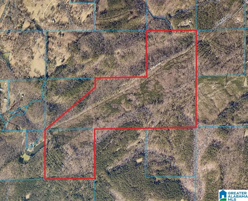 0 BAKER ROAD, Odenville, AL 35120 - #1