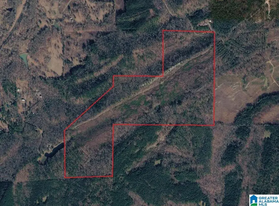 0 BAKER ROAD, Odenville, AL 35120 - #2