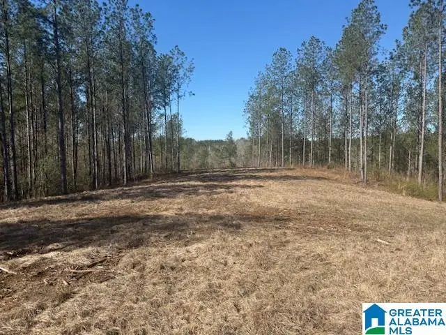 PATE ROAD, Cragford, AL 36255 - #2