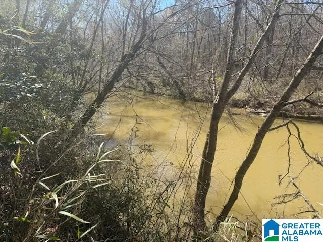 PATE ROAD, Cragford, AL 36255 - #3