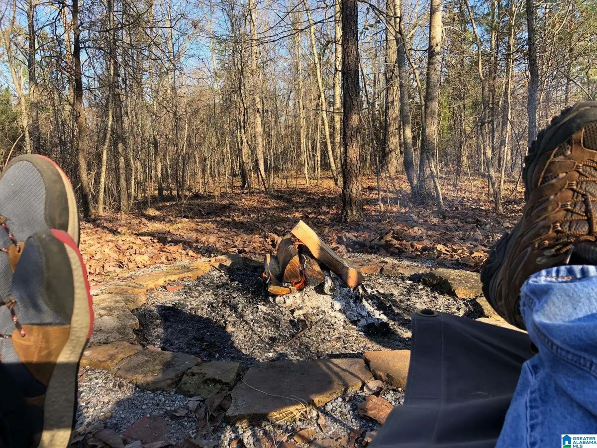 00 US HWY 231, Ragland, AL 35131 - #1