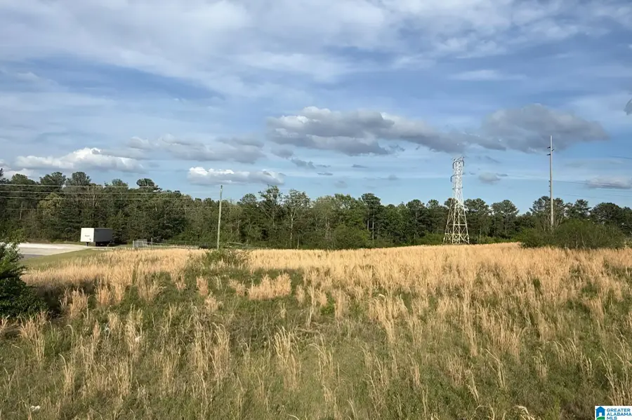 430 GEORGE ROY PARKWAY, Calera, AL 35040 - #2