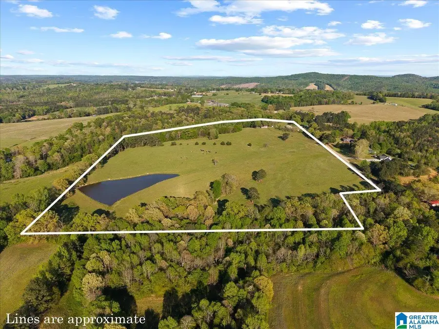 1347 HAMM ROAD, Blountsville, AL 35031 - #3