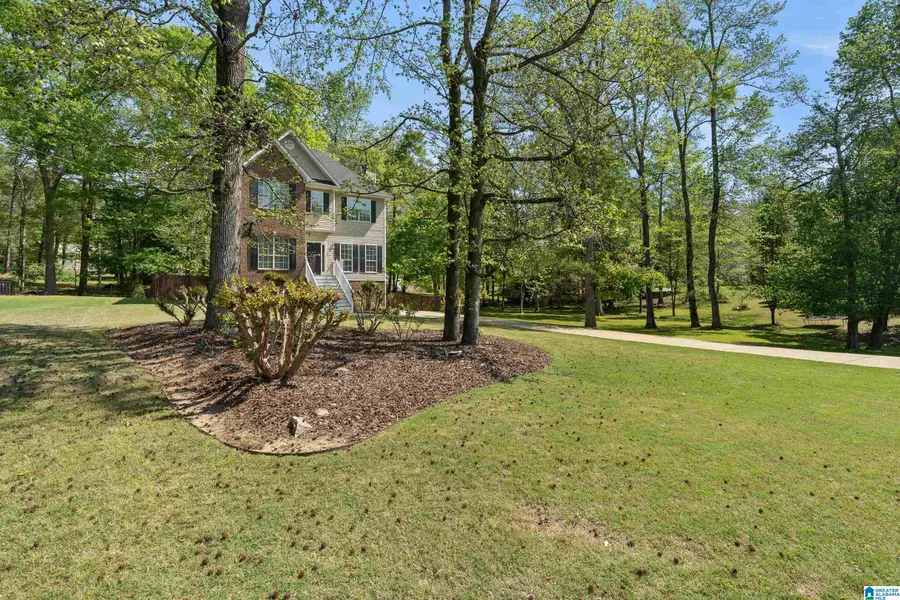 320 HUNTER HILLS CIRCLE, Chelsea, AL 35043 - #2