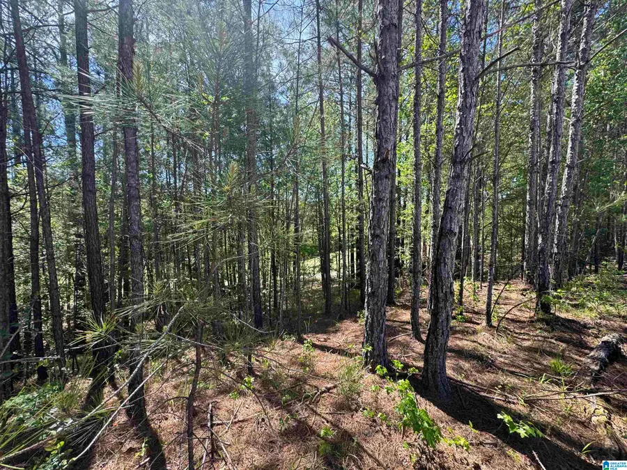 141 GLENGERRY DRIVE, Pelham, AL 35124 - #2