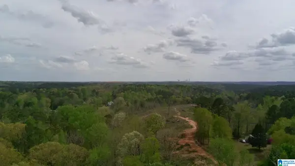 12 SELLERS HOLLOW ROAD, Dora, AL 35062