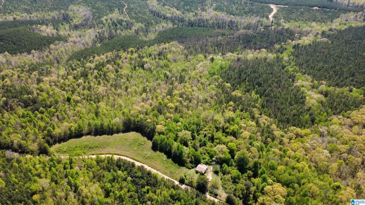 525 COUNTY ROAD 624, Muscadine, AL 36269 - #1