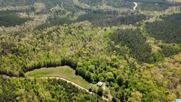 525 COUNTY ROAD 624, Muscadine, AL 36269