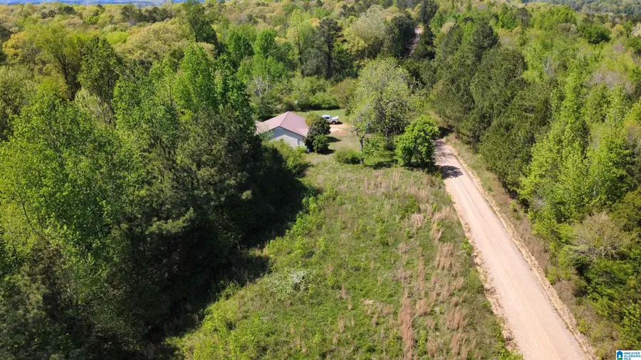 525 COUNTY ROAD 624, Muscadine, AL 36269 - #2