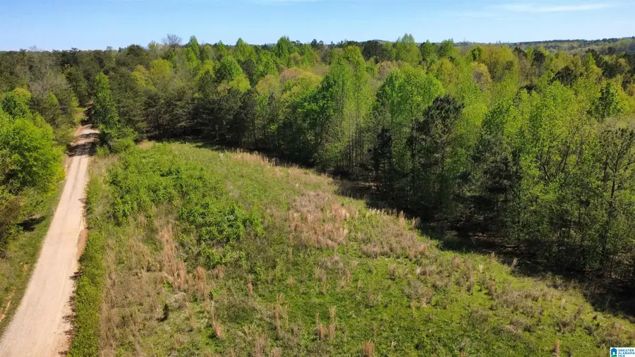 525 COUNTY ROAD 624, Muscadine, AL 36269 - #3