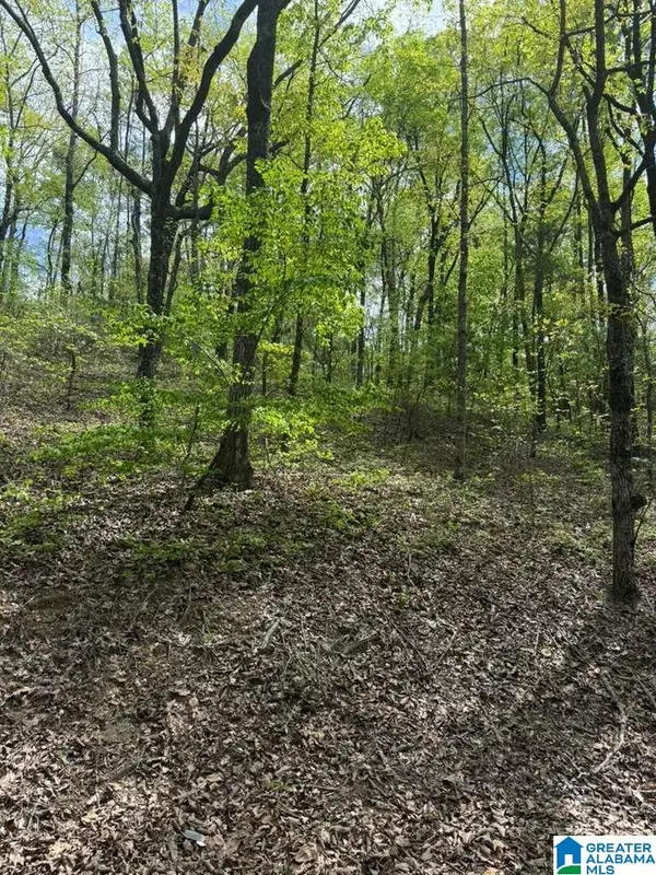 VICKI DRIVE, Lakeview, AL 35111