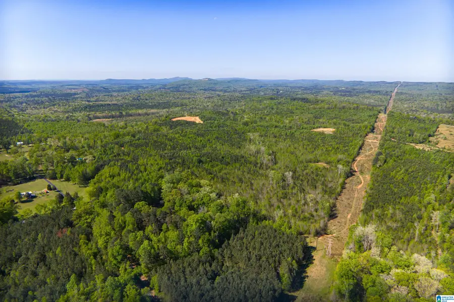 0 SHAW ROAD, Pell City, AL 35128 - #2