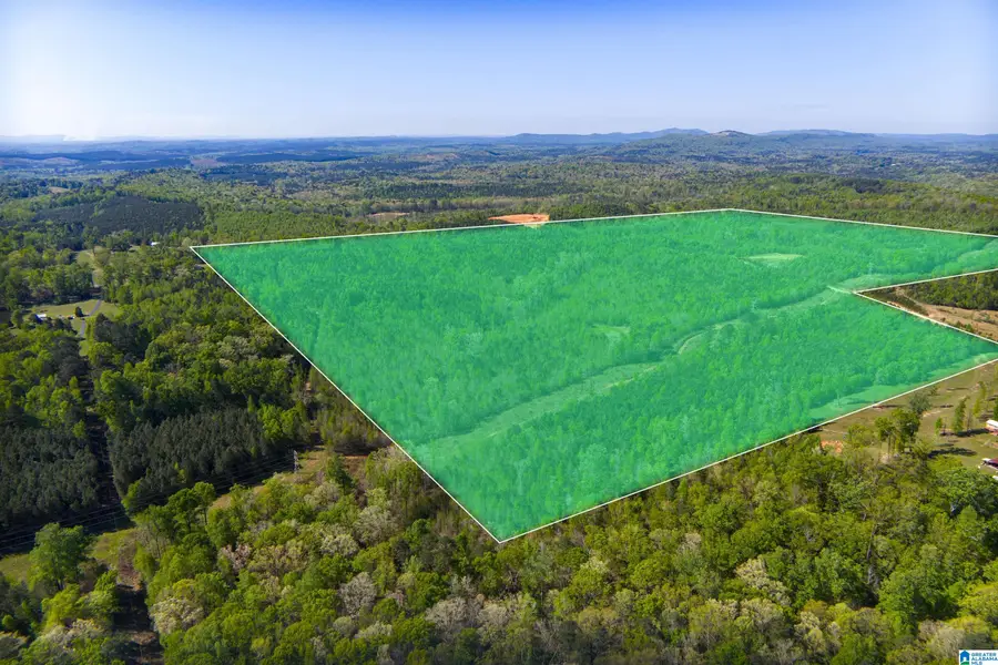 0 SHAW ROAD, Pell City, AL 35128 - #3