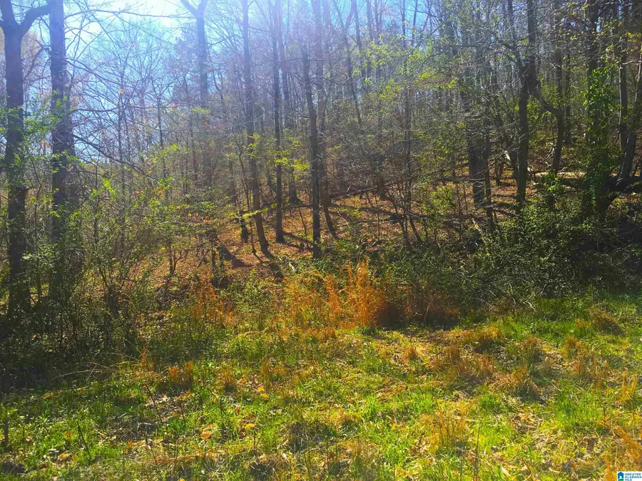 0 FOX RUN, Oneonta, AL 35121 - #2