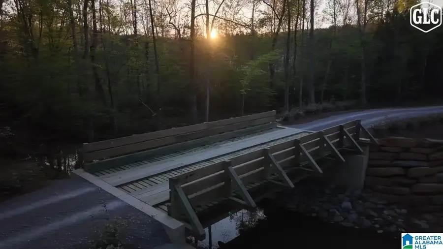 100 HERITAGE PINES BOULEVARD, Chelsea, AL 35051 - #3