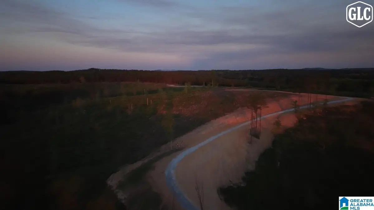 200 HERITAGE PINES BOULEVARD, Columbiana, AL 35051 - #1