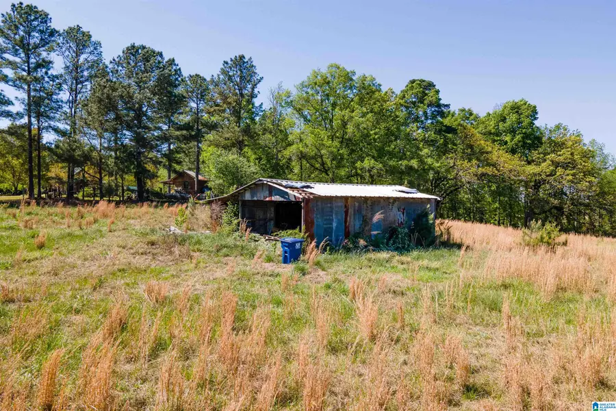 0 SUN VALLEY ROAD, Harpersville, AL 35078 - #3