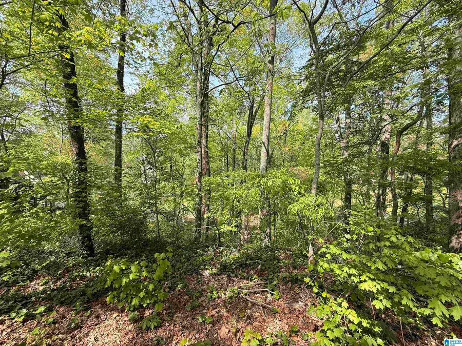 4 DOGWOOD ROAD, Athens, AL 35611 - #3