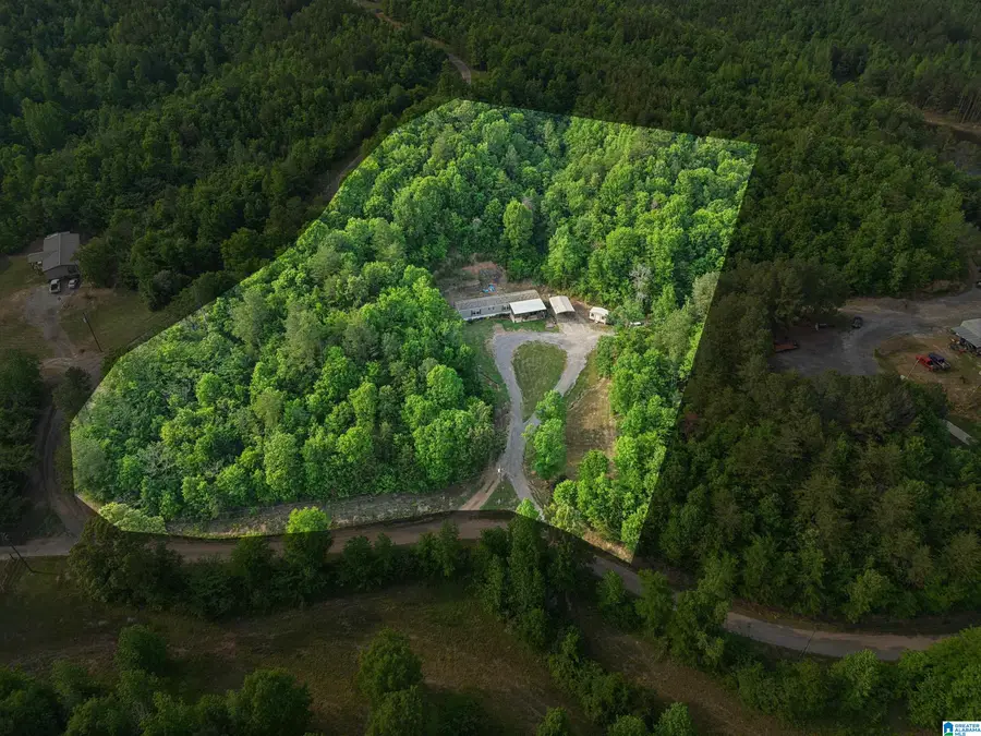 3151 VALLEY FORD ROAD, Adger, AL 35006 - #2